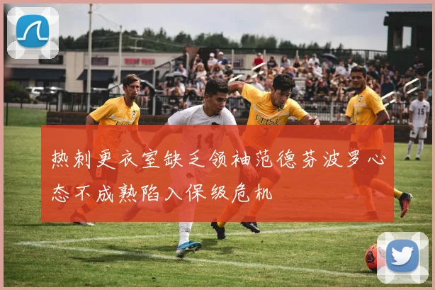热刺更衣室缺乏领袖范德芬波罗心态不成熟陷入保级危机